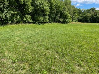Property photo 19 - LAND AUCTION - 293+/- ACRES OFFERED IN 13 TRACTS IN CARROLL COUNTY, INDIANA