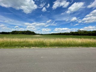 Property photo 26 - LAND AUCTION - 293+/- ACRES OFFERED IN 13 TRACTS IN CARROLL COUNTY, INDIANA