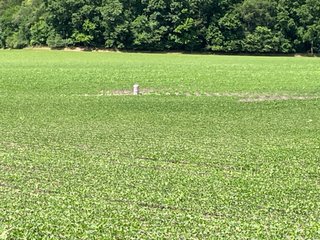 Property photo 28 - LAND AUCTION - 293+/- ACRES OFFERED IN 13 TRACTS IN CARROLL COUNTY, INDIANA