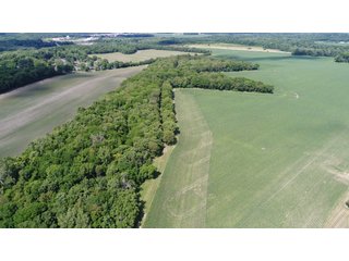 Property photo 45 - LAND AUCTION - 293+/- ACRES OFFERED IN 13 TRACTS IN CARROLL COUNTY, INDIANA