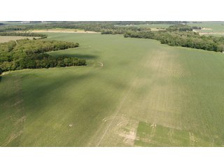 Property photo 47 - LAND AUCTION - 293+/- ACRES OFFERED IN 13 TRACTS IN CARROLL COUNTY, INDIANA