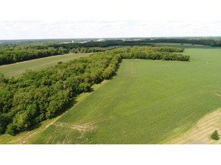 Property photo 54 - LAND AUCTION - 293+/- ACRES OFFERED IN 13 TRACTS IN CARROLL COUNTY, INDIANA