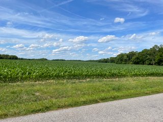 Property photo 77 - LAND AUCTION - 293+/- ACRES OFFERED IN 13 TRACTS IN CARROLL COUNTY, INDIANA