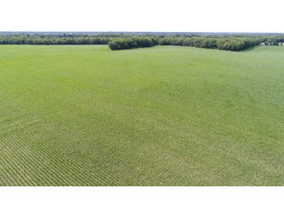 Property photo 81 - LAND AUCTION - 293+/- ACRES OFFERED IN 13 TRACTS IN CARROLL COUNTY, INDIANA