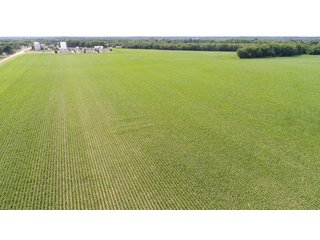 Property photo 82 - LAND AUCTION - 293+/- ACRES OFFERED IN 13 TRACTS IN CARROLL COUNTY, INDIANA