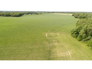 Property photo 83 - LAND AUCTION - 293+/- ACRES OFFERED IN 13 TRACTS IN CARROLL COUNTY, INDIANA