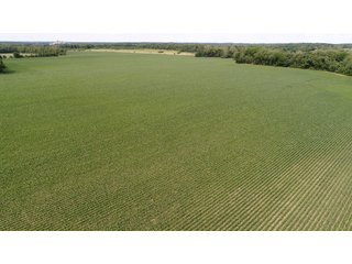 Property photo 84 - LAND AUCTION - 293+/- ACRES OFFERED IN 13 TRACTS IN CARROLL COUNTY, INDIANA