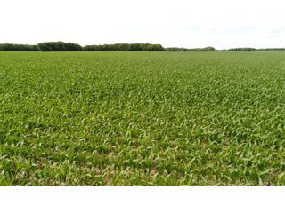 Property photo 86 - LAND AUCTION - 293+/- ACRES OFFERED IN 13 TRACTS IN CARROLL COUNTY, INDIANA