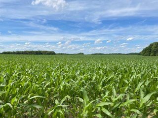 Property photo 94 - LAND AUCTION - 293+/- ACRES OFFERED IN 13 TRACTS IN CARROLL COUNTY, INDIANA