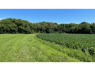 Property photo 96 - LAND AUCTION - 293+/- ACRES OFFERED IN 13 TRACTS IN CARROLL COUNTY, INDIANA