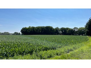 Property photo 97 - LAND AUCTION - 293+/- ACRES OFFERED IN 13 TRACTS IN CARROLL COUNTY, INDIANA