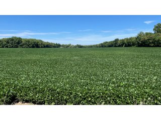 Property photo 100 - LAND AUCTION - 293+/- ACRES OFFERED IN 13 TRACTS IN CARROLL COUNTY, INDIANA