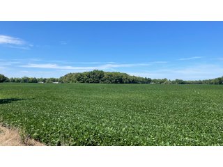 Property photo 101 - LAND AUCTION - 293+/- ACRES OFFERED IN 13 TRACTS IN CARROLL COUNTY, INDIANA