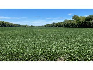 Property photo 102 - LAND AUCTION - 293+/- ACRES OFFERED IN 13 TRACTS IN CARROLL COUNTY, INDIANA