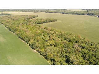 Property photo 109 - LAND AUCTION - 293+/- ACRES OFFERED IN 13 TRACTS IN CARROLL COUNTY, INDIANA