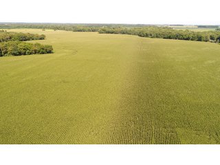Property photo 113 - LAND AUCTION - 293+/- ACRES OFFERED IN 13 TRACTS IN CARROLL COUNTY, INDIANA