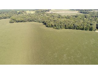 Property photo 114 - LAND AUCTION - 293+/- ACRES OFFERED IN 13 TRACTS IN CARROLL COUNTY, INDIANA