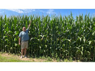 Property photo 121 - LAND AUCTION - 293+/- ACRES OFFERED IN 13 TRACTS IN CARROLL COUNTY, INDIANA