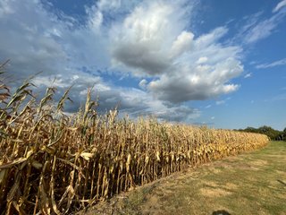Property photo 128 - LAND AUCTION - 293+/- ACRES OFFERED IN 13 TRACTS IN CARROLL COUNTY, INDIANA
