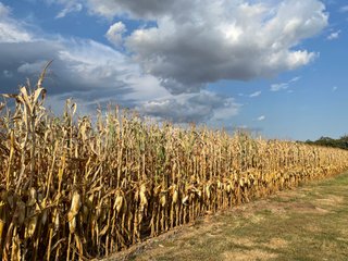 Property photo 129 - LAND AUCTION - 293+/- ACRES OFFERED IN 13 TRACTS IN CARROLL COUNTY, INDIANA