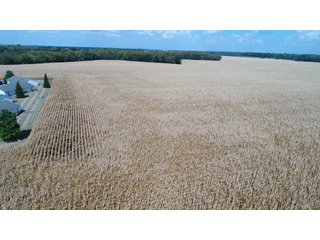 Property photo 134 - LAND AUCTION - 293+/- ACRES OFFERED IN 13 TRACTS IN CARROLL COUNTY, INDIANA