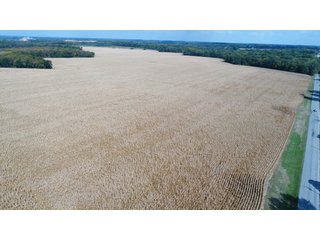 Property photo 135 - LAND AUCTION - 293+/- ACRES OFFERED IN 13 TRACTS IN CARROLL COUNTY, INDIANA