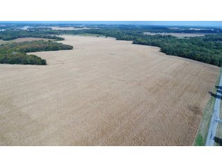 Property photo 136 - LAND AUCTION - 293+/- ACRES OFFERED IN 13 TRACTS IN CARROLL COUNTY, INDIANA