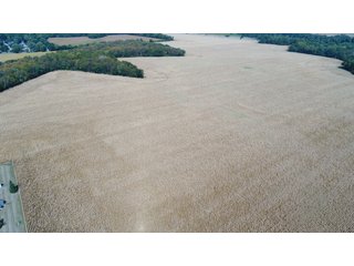 Property photo 137 - LAND AUCTION - 293+/- ACRES OFFERED IN 13 TRACTS IN CARROLL COUNTY, INDIANA