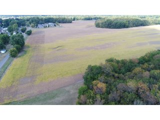 Property photo 142 - LAND AUCTION - 293+/- ACRES OFFERED IN 13 TRACTS IN CARROLL COUNTY, INDIANA