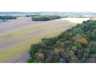 Property photo 143 - LAND AUCTION - 293+/- ACRES OFFERED IN 13 TRACTS IN CARROLL COUNTY, INDIANA