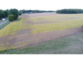 Property photo 144 - LAND AUCTION - 293+/- ACRES OFFERED IN 13 TRACTS IN CARROLL COUNTY, INDIANA