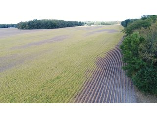 Property photo 145 - LAND AUCTION - 293+/- ACRES OFFERED IN 13 TRACTS IN CARROLL COUNTY, INDIANA