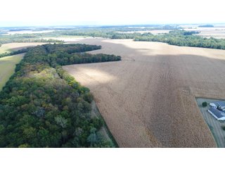 Property photo 146 - LAND AUCTION - 293+/- ACRES OFFERED IN 13 TRACTS IN CARROLL COUNTY, INDIANA