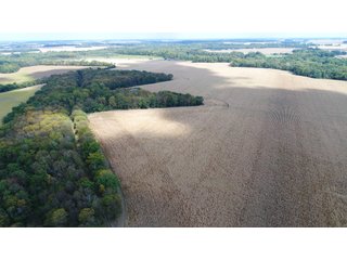 Property photo 147 - LAND AUCTION - 293+/- ACRES OFFERED IN 13 TRACTS IN CARROLL COUNTY, INDIANA