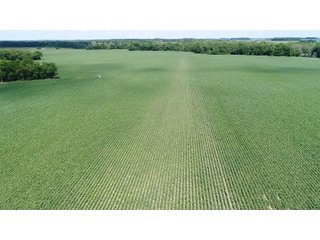 Property photo 2 - LAND AUCTION - 293+/- ACRES OFFERED IN 13 TRACTS IN CARROLL COUNTY, INDIANA