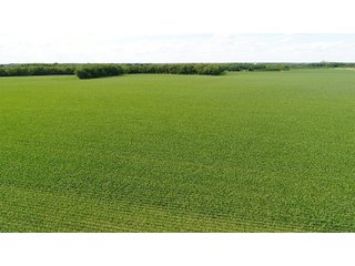 Property photo 5 - LAND AUCTION - 293+/- ACRES OFFERED IN 13 TRACTS IN CARROLL COUNTY, INDIANA