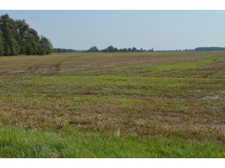 Property photo 44 - LAND AUCTION - 578+/- ACRES OFFERED IN 22 TRACTS IN DEFIANCE COUNTY, OHIO & DEKALB COUNTY, INDIANA