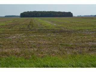 Property photo 45 - LAND AUCTION - 578+/- ACRES OFFERED IN 22 TRACTS IN DEFIANCE COUNTY, OHIO & DEKALB COUNTY, INDIANA