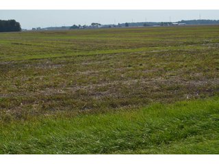 Property photo 46 - LAND AUCTION - 578+/- ACRES OFFERED IN 22 TRACTS IN DEFIANCE COUNTY, OHIO & DEKALB COUNTY, INDIANA
