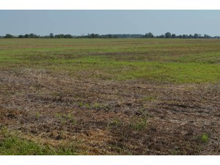 Property photo 47 - LAND AUCTION - 578+/- ACRES OFFERED IN 22 TRACTS IN DEFIANCE COUNTY, OHIO & DEKALB COUNTY, INDIANA