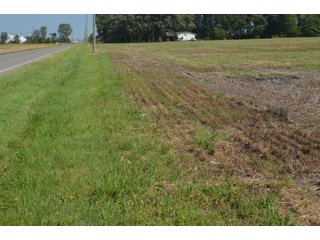 Property photo 48 - LAND AUCTION - 578+/- ACRES OFFERED IN 22 TRACTS IN DEFIANCE COUNTY, OHIO & DEKALB COUNTY, INDIANA