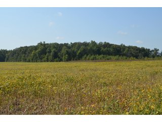 Property photo 70 - LAND AUCTION - 578+/- ACRES OFFERED IN 22 TRACTS IN DEFIANCE COUNTY, OHIO & DEKALB COUNTY, INDIANA