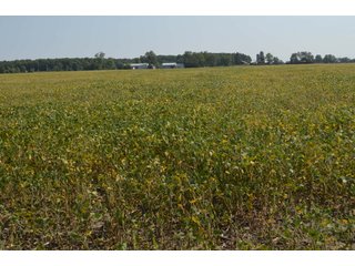 Property photo 75 - LAND AUCTION - 578+/- ACRES OFFERED IN 22 TRACTS IN DEFIANCE COUNTY, OHIO & DEKALB COUNTY, INDIANA