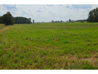 Property photo 86 - LAND AUCTION - 578+/- ACRES OFFERED IN 22 TRACTS IN DEFIANCE COUNTY, OHIO & DEKALB COUNTY, INDIANA