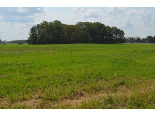 Property photo 87 - LAND AUCTION - 578+/- ACRES OFFERED IN 22 TRACTS IN DEFIANCE COUNTY, OHIO & DEKALB COUNTY, INDIANA