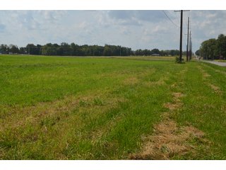 Property photo 88 - LAND AUCTION - 578+/- ACRES OFFERED IN 22 TRACTS IN DEFIANCE COUNTY, OHIO & DEKALB COUNTY, INDIANA