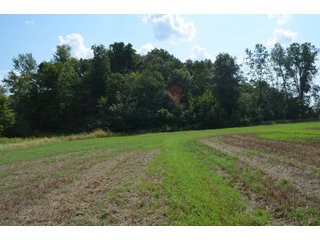 Property photo 89 - LAND AUCTION - 578+/- ACRES OFFERED IN 22 TRACTS IN DEFIANCE COUNTY, OHIO & DEKALB COUNTY, INDIANA