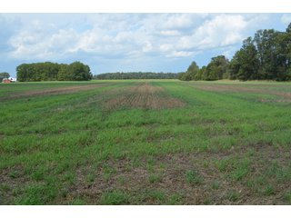 Property photo 90 - LAND AUCTION - 578+/- ACRES OFFERED IN 22 TRACTS IN DEFIANCE COUNTY, OHIO & DEKALB COUNTY, INDIANA