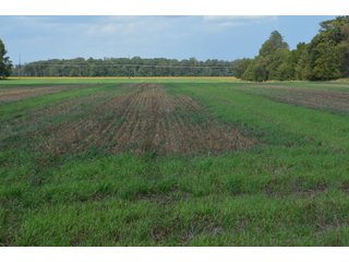 Property photo 91 - LAND AUCTION - 578+/- ACRES OFFERED IN 22 TRACTS IN DEFIANCE COUNTY, OHIO & DEKALB COUNTY, INDIANA
