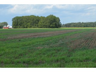 Property photo 92 - LAND AUCTION - 578+/- ACRES OFFERED IN 22 TRACTS IN DEFIANCE COUNTY, OHIO & DEKALB COUNTY, INDIANA
